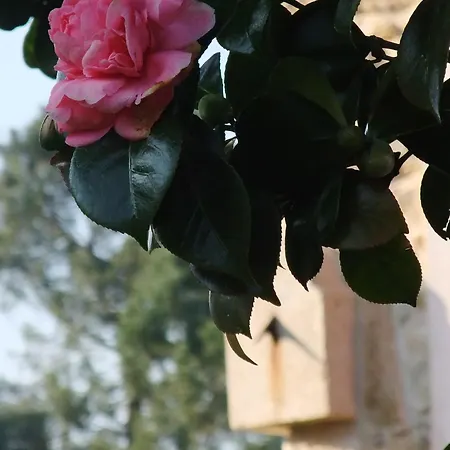 Pazo Da Cruz Landhuis