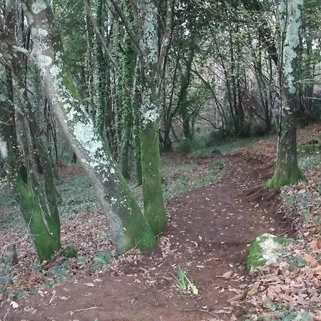Lantställe Pazo Da Cruz